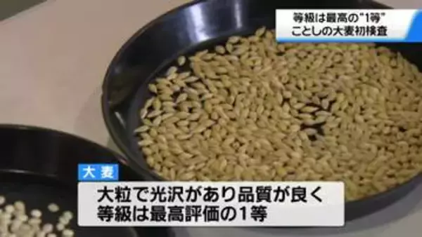 等級は最高の”1等”に格付け 石川・能美市でことしの大麦品質検査