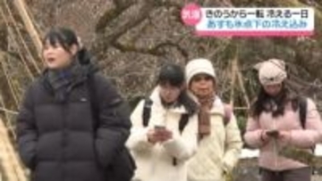 一転の“寒の戻り”に観光客は防寒対策　兼六園でウメ咲き始める　17日も石川各地で氷点下の見込み