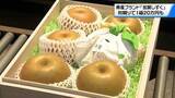 「石川県産ブランド梨「加賀しずく」の初競り　プレミアムは1箱20万円」の画像1