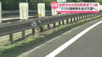 ｢金沢方面に走ってる｣　“北陸道路側帯を走るクマ” ドライバーが目撃　事故や通行止めは発生せず