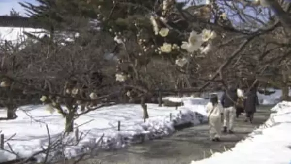 石川県内4月上旬から中旬並みの暖かさに　寒暖差にご注意