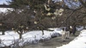 石川県内4月上旬から中旬並みの暖かさに　寒暖差にご注意