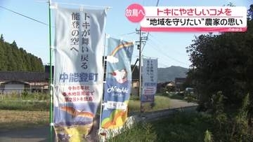 本州2例目のトキ放鳥　7日に石川・中能登町で実施へ　放鳥にむけ高まる期待感