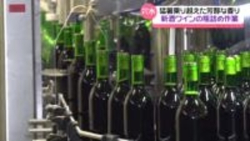 猛暑乗り越え“上々の出来栄え”　能登の新酒ワイン　石川・穴水町で販売にむけ瓶詰作業