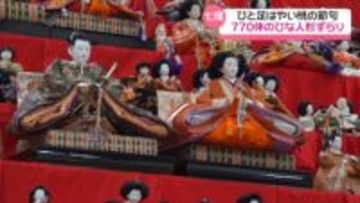 七尾市にちなんで“770体”　ひと足早い桃の節句始まる　石川の能登食祭市場で恒例のひな人形展示