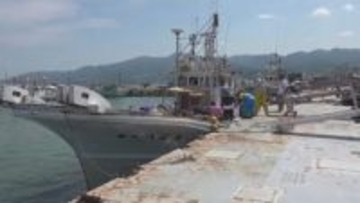 去年の石川県内の底引き網漁による水揚げ量　2024年と比べて増加