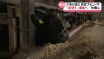 石川のブランド牛｢能登牛｣　大きな痛手の震災からまもなく2年　増産目指す生産者の現状