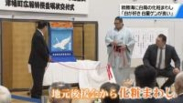 平幕・欧勝海　地元後援会から“青空飛ぶ白鳥”の化粧まわし　｢すごく験がいい まずは幕内定着｣