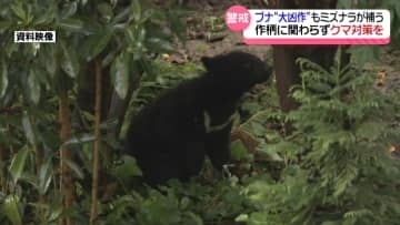石川でも相次ぐ“クマの目撃”　各地で対策進む　専門家が警告｢越冬前のクマは空腹状態 エサがあるところに｣