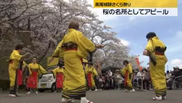 加賀一向一揆の舞台　石川・金沢市の高尾城跡で桜を楽しめるイベント「さくら祭り」開催