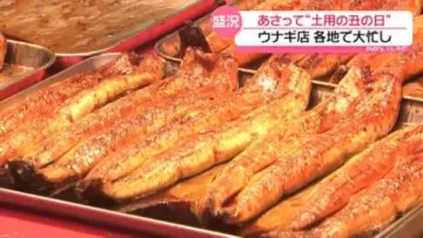 本日分の売り切れが続出　“土用の丑の日”前に店頭のウナギ人気　金沢の販売店は大忙し