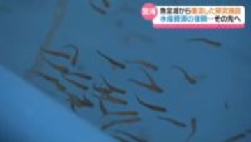 地震被害で魚全滅の｢能登海洋水産センター｣　2年で元の姿に戻りつつ…「要望に応えられる魚 作っていきたい｣
