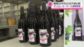 仏産ワイン｢ボジョレ・ヌーボー｣到着　石川・小松空港でも通関手続き　解禁は20日0時