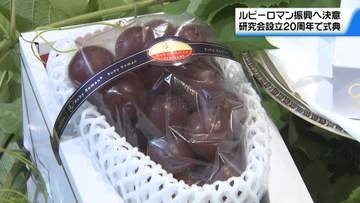 “高級果実の評価”励みに　石川県産高級ブドウ｢ルビーロマン研究会｣　設立20周年で記念式典