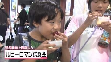1粒でも｢めっちゃジューシー｣　石川産高級ブドウ・ルビーロマン　金沢駅で試食会