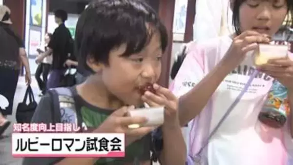 1粒でも｢めっちゃジューシー｣　石川産高級ブドウ・ルビーロマン　金沢駅で試食会