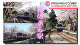 「“のと鉄道 旅の魅力”全国に発信　中学生制作のCM完成で上映会　｢鉄道乗って穴水に来てほしい｣」の画像1