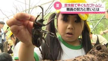 飼育員の努力実り｢カブトの森｣　1か月前倒しで展示　石川県ふれあい昆虫館で始まる