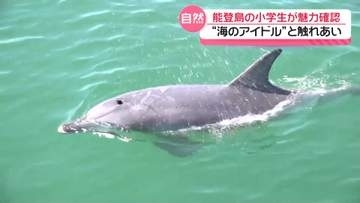 ｢イルカがいたら自慢になる｣ ふるさとの魅力を再確認　石川・七尾湾で地元児童がイルカ観察