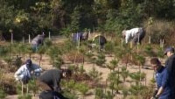 石川・金沢市で企業と住民が海岸林の整備活動　金沢市の森の推進事業を活用