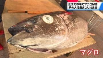 解体マグロは通常の3割引き　金沢・近江町市場で｢大行燈まつり｣開幕　買物客でにぎわう