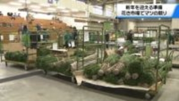 花き市場は迎春ムード一色　正月飾りの「松市」金沢では金銀の華やかな枝垂れ柳も
