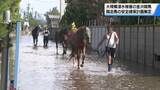 「去年8月に大規模浸水被害の金沢競馬　災害時の競走馬の安全確保計画を策定　それぞれの役割定める」の画像1