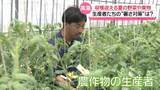 「連日の猛暑に頭悩ませて　“野菜や果物”収穫に石川の生産者　新たな暑さ対策に試行錯誤」の画像1