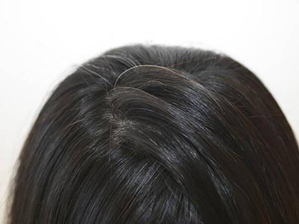 ケア次第でまた黒い髪が生えてくる 白髪を予防する頭皮ケア 14年8月8日 エキサイトニュース