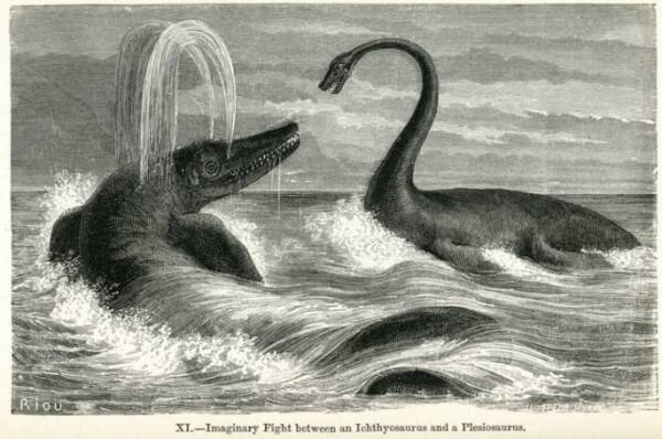 池の水ぜんぶ抜く大作戦をしていたら、1億8000万年前の魚竜の化石が出てきた件
