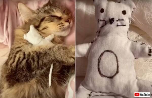 私の可愛い赤ちゃん 子供を失った母猫 飼い主さん手作りの人形に心を癒される 22年1月19日 エキサイトニュース