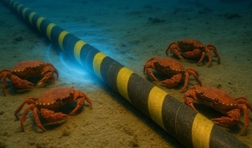 海底ケーブルの磁場に惹かれるメスのカニ　繁殖行動を狂わせる「見えない罠」