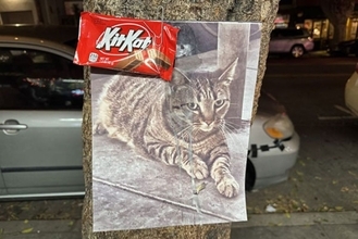 小売店の看板猫が自動運転タクシーにひかれ、この世を去る