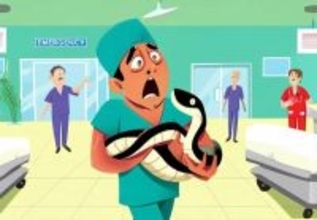 ヘビに噛まれてもそのヘビを病院に連れて来ないで！オーストラリアの医療機関が注意喚起