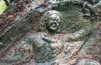 女性の姿を彫刻した岩がタイの森で偶然見つかる。歴史の謎を解明か