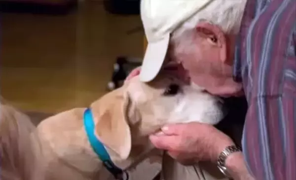 臭い靴下でよかった！93歳の飼い主が迷子になった犬と再会