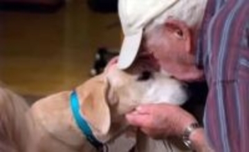 臭い靴下でよかった！93歳の飼い主が迷子になった犬と再会