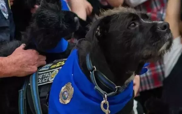 銃乱射事件で心に傷を負った子供達を癒し続けた元野良犬、2025年「ヒーロー犬賞」を受賞