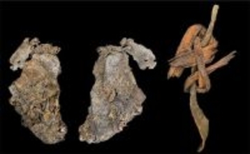 人類史上最古の衣服　1万2千年前の縫い合わされた皮がアメリカの洞窟で発見される