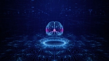 完全合成の「脳組織モデル」が誕生、動物の犠牲をなくすための一歩