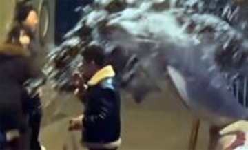 ここは禁煙じゃい！シロイルカがタバコに火をつけた男性に水しぶきを浴びせる