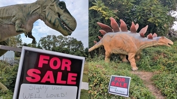 アメリカの恐竜パークが閉鎖。動く恐竜たちがマーケットプレイスでナウオンセール！