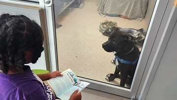 保護施設の犬猫に100時間以上読み聞かせを続ける11歳の少年の思い
