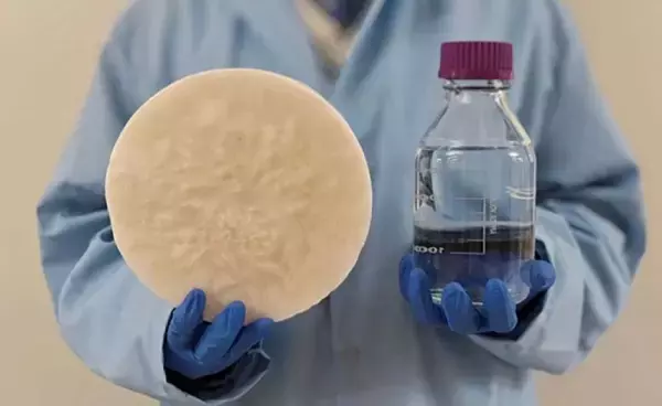 空気からたっぷり飲み水を作る、天然素材のゲル状物質が開発される