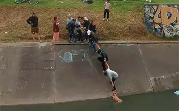 水路に落ちた犬を救うため、手と手を取り合って作られた「人間の鎖」