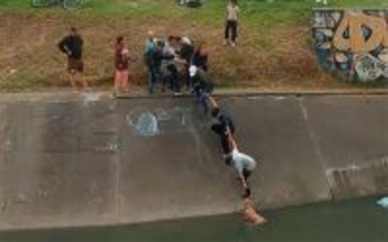 水路に落ちた犬を救うため、手と手を取り合って作られた「人間の鎖」