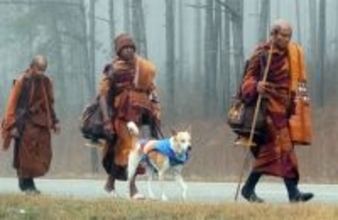 自ら加わった犬と共に、僧侶たちがアメリカで3,700kmの平和の祈りの旅を続ける