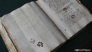 ネコハラは中世から。猫の足跡や尿がついた写本が発見される