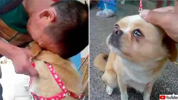 職と家と全財産を失った男性は 最愛の犬を店主に託した すべてを悟った犬の瞳は涙で濡れていた 22年4月7日 エキサイトニュース 職と家と全財産を失った男性は 最愛の犬を店主に託した すべてを悟った犬の瞳は涙で濡れていた 22年4月7日 エキサイトニュース