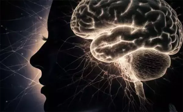 脳以外の細胞にも記憶能力があることが判明